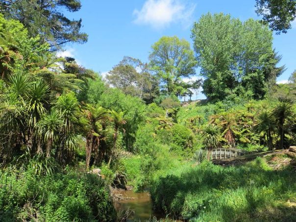 In the south of Hamilton , as well as the riverside walks, there are many paths through Hamilton Gardens and through the gullies of the streams which drain the former peat bogs. - Image John Lawson