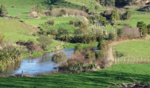 Well-constructed and planted riparian margins beside water bodies form a barrier that can help to keep contaminates out. Image WRC