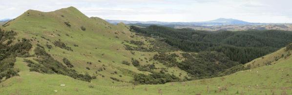 Te Akatea-Pongawhakatiki: the pointed 309m hill behind Waingaro - Image John Lawson