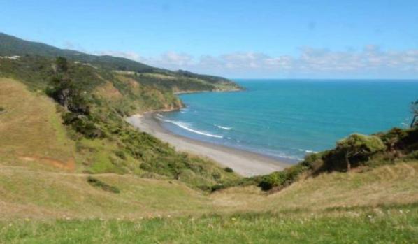 View of Ngarunui Beach and Tasman Sea from Wainui Reserve. Image John Lawson