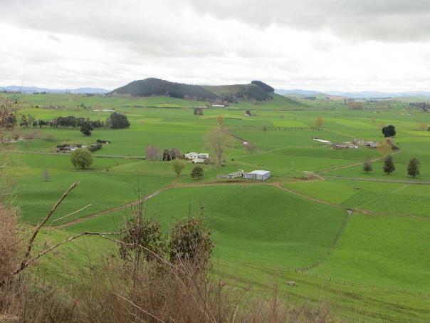 Kakepuku, rising from the plain near Te Awamutu