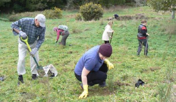 Planting at Hillary Hope. Photograph by Sharen Graham.