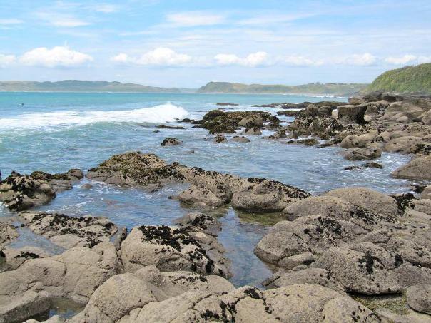 Whale Bay's rocky beach - Image John Lawson