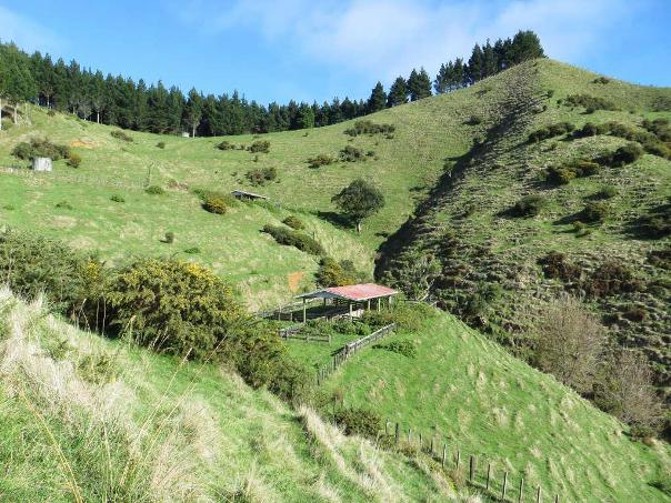 The hills of Whatawhata AgResearch Station - Image John Lawson