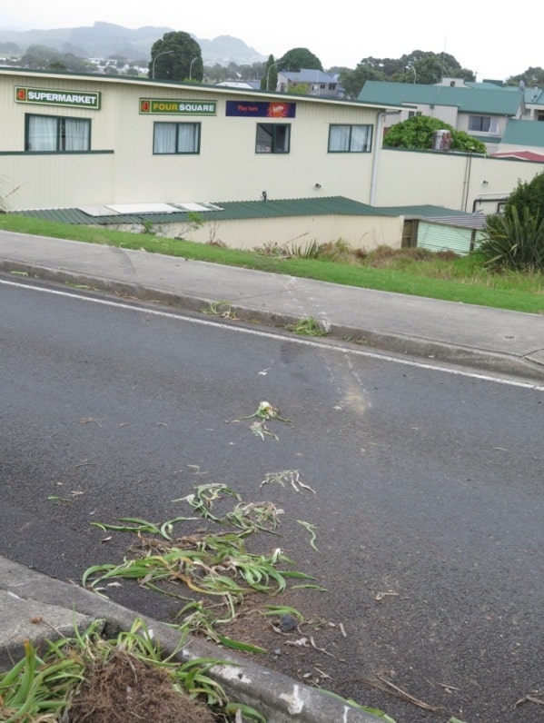 The car left a trail of debris and car rim scratch marks on Bankart St.