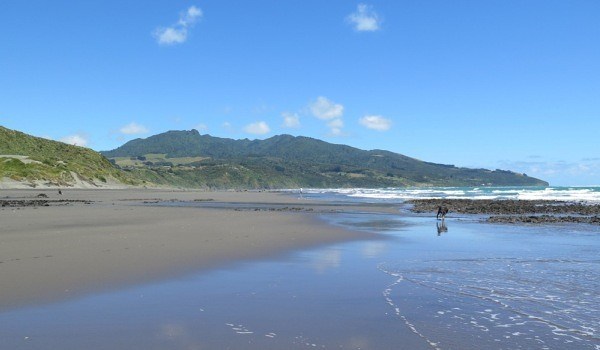 The Raglan beach check for plastic was undertaken on 6th February. File photo