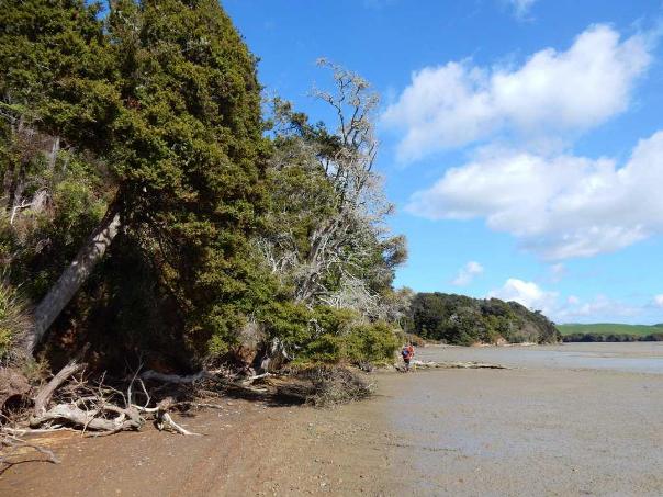 Harbour Beach on Peart's Finger. Image John Lawson