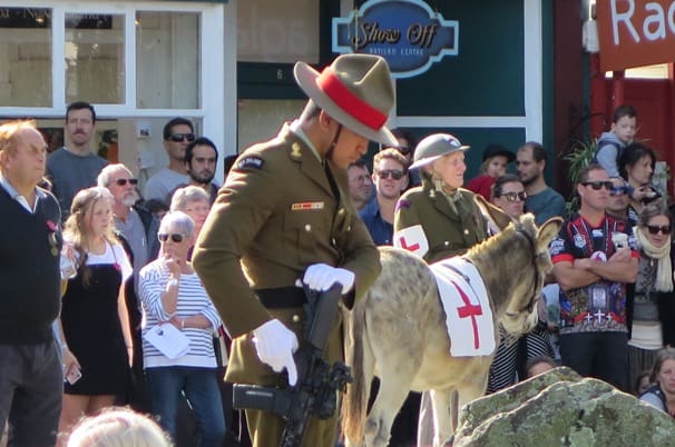 The Red Cross donkey during the service. Image Richard Gallagher