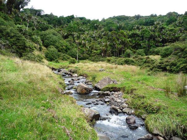 The Rekereke valley near Ruapuke has a rushing stream - Image John Lawson