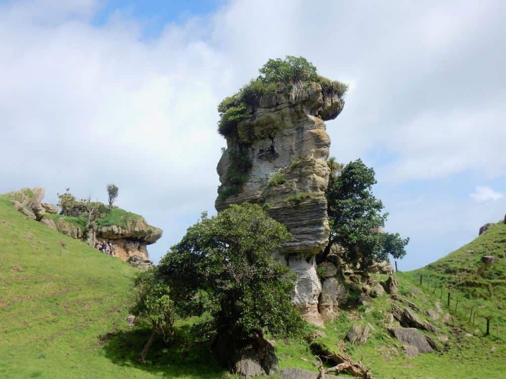 This large limestone stack, with ‘Hobbit’ caves behind it, are in the 28 million year old Orahiri Limestone. Image John Lawson