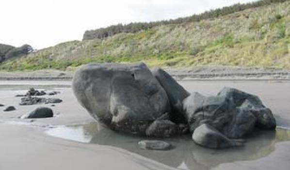 Elephant Rock - southern limit of Rahui Image John Lawson