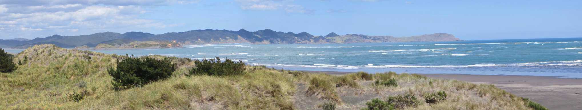 Kawhia Beach and Tasman Sea - Image John Lawson
