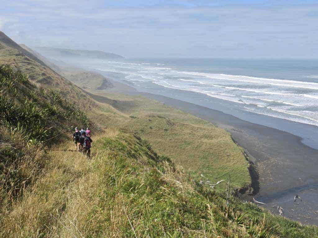 Waiau Beach - Image John Lawson