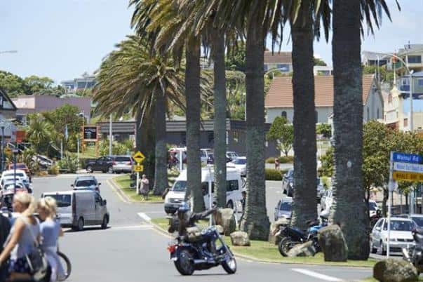 Phoenix Palms in Bow Street, Raglan Image supplied