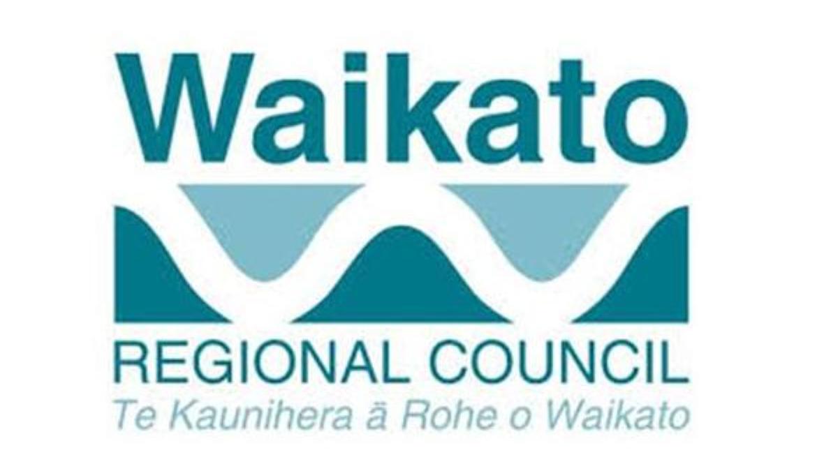 Waikato Regional Council hunting for rook sightings
