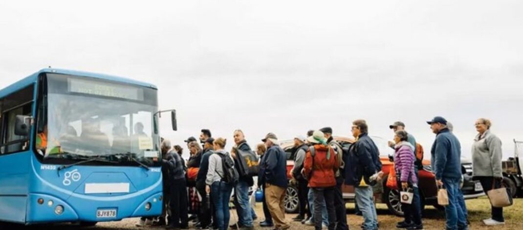Free buses from Raglan to Fieldays
