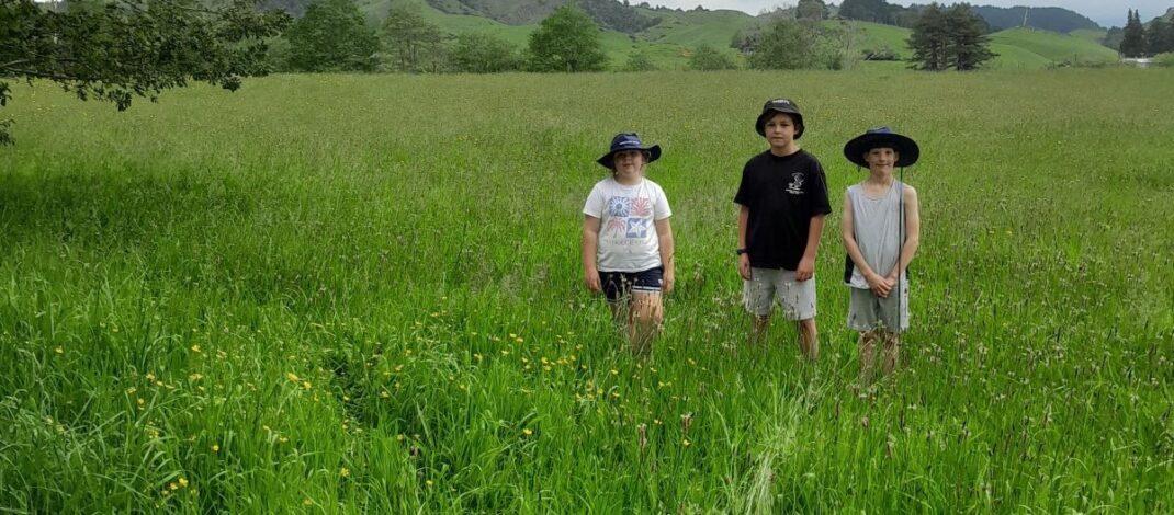 Waitetuna School's site for new pump track
