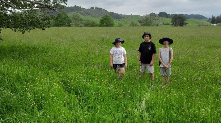 Waitetuna School's site for new pump track
