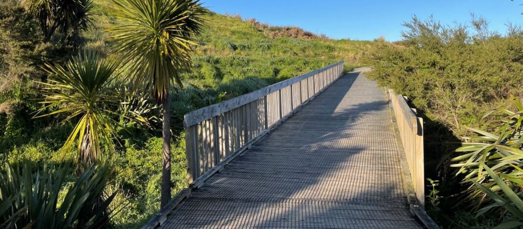 Raglan’s Lorenzen Bay Reserve recognised