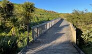 Raglan’s Lorenzen Bay Reserve recognised