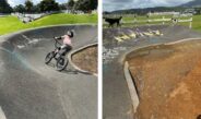 Raglan’s Papahua Reserve pump track goes concrete