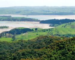 Above Otonga Valley to Whaingaroa Harbour 091209AboveOtongaValleyToWhaingaroa-Harbour