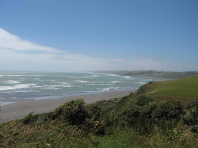 100101barwainuiimg_5206