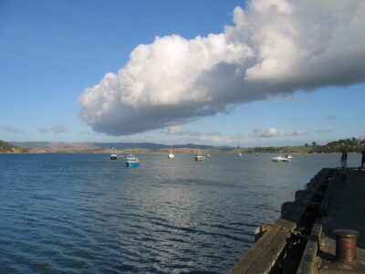 100211raglanfishingfleetimg_2096