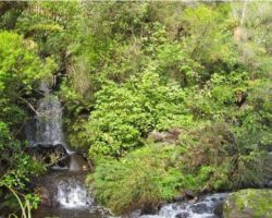 Opotoru 100407opotoruramblers