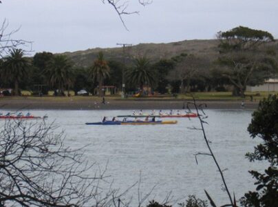 100417wakahoekopuaimg_2242