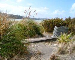 1942 'Type 22'
pillbox on Wainamu Beach 100507_1941PillBox