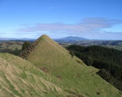 Pongawhakatika 100602ramblerspongawhakatika