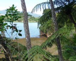 View from Kaitoke track 100616RamblersKaitoke
