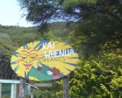 Kaiwhenua gardens 100623ramblerskaiwhenua