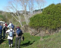 100708RamblersWhatawhata