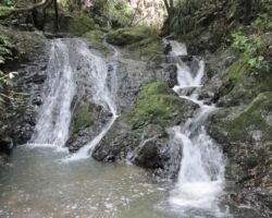 100722RamblersHakarimata