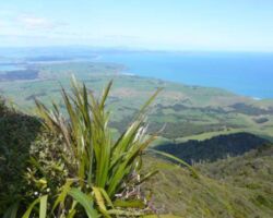 100929RamblersKarioiView