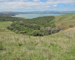 101013RamblersOldAoteaMission