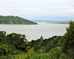 110209ramblersmotukokako