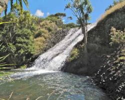 110227RamblersToreparu