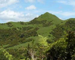 Pongawhakatiki 110323ramblerspongawhakatiki