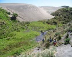 Mussel rock, Te Akau 110413ramblersmusselrock