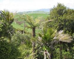 110615RamblersKaramu