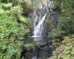 Opotoru waterfalls 111130Opotoru