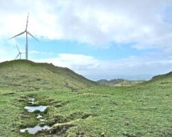 Te Uku wind farm 120404windfarm