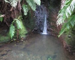 120725KarioiSouthWalk