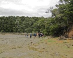 Pearts Finger 120927peartsfinger