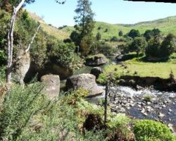 Pakoka Valley has views of Aotea harbour, and limestone cliffs. 121017PakokaValley