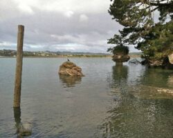 Limestone rock formations 121024MusselRock