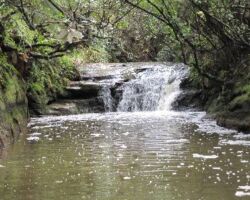 Ponganui Waterfalls 121107PonganuiWaterfalls